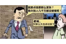 神农架融资清欠服务